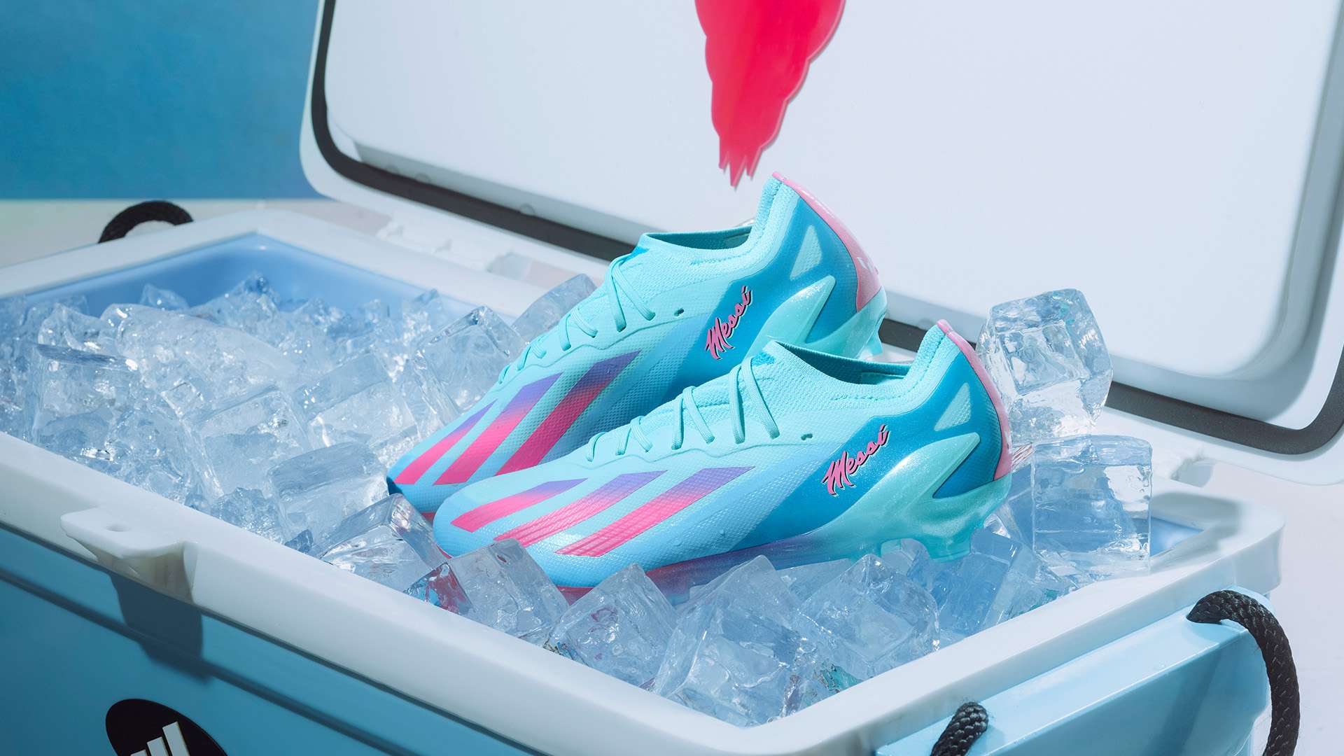 他的个人魅 他的个人魅